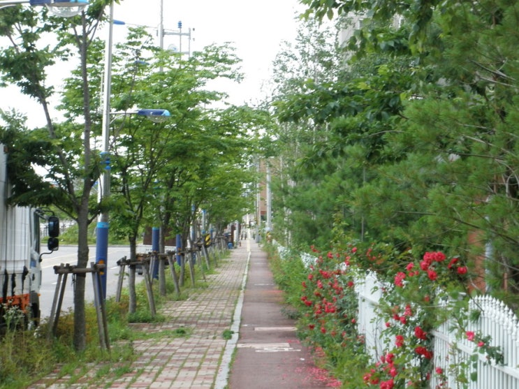  채이배, 한국당 감금 뚫고 6시간만에 탈출…공수처법 논의