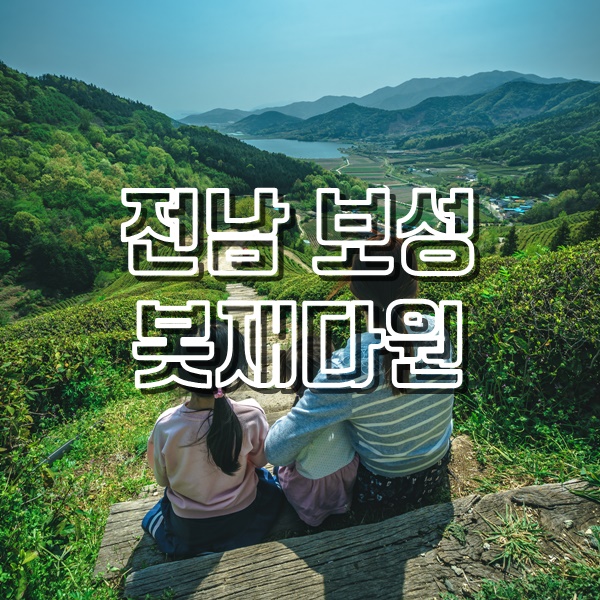  [보성여행] 녹차밭 경치가 아름다운 봇재다원