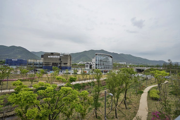  수성알파시티주인세대급쓰리룸전세/삼성라이온즈뒤전원주택같은쓰리룸월세-2,000/80만원