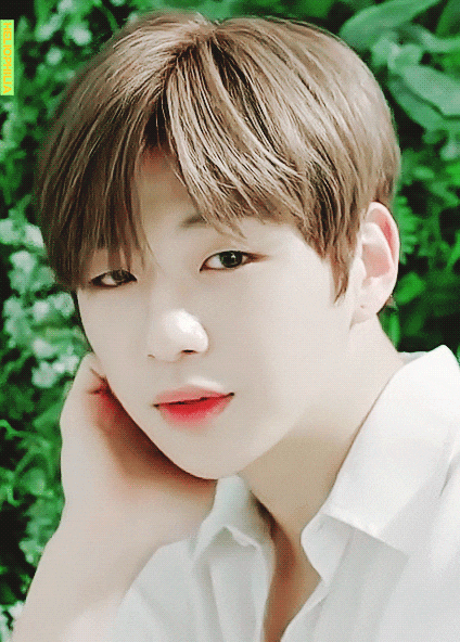  [강다니엘] SBS 온에어 스타tv 5월의 주인공 강다니엘TV