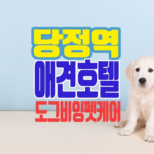 사진 4