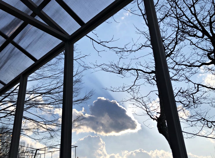  세종 고복저수지 카페 에브리 선데이 본점(구 잇트로스터즈)