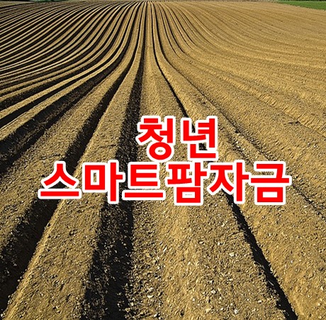 청년 스마트팜 자금 - '청년 농업인에 기회'