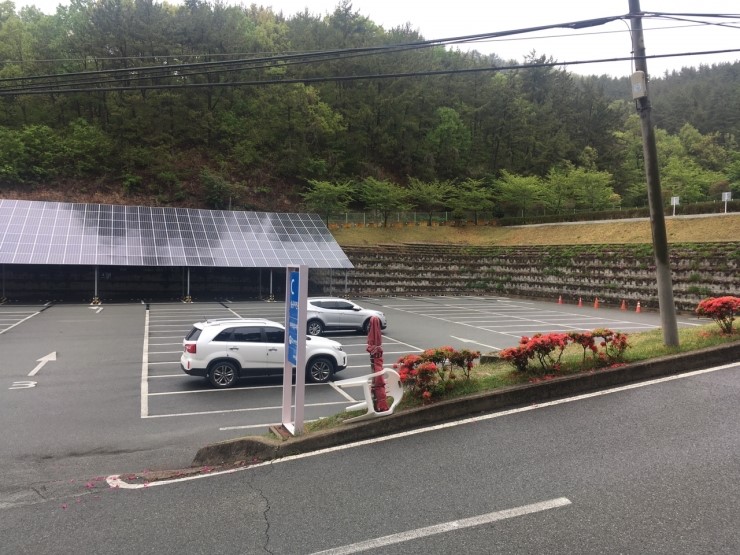  혼자서도 재밌는 고성 공룡박물관