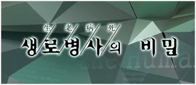  흑마늘효과 임상 연구 확인 <KBS 생로병사의비밀>