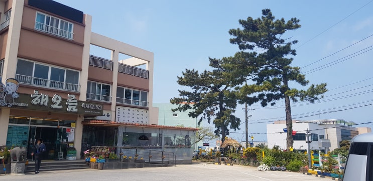  [제주/흑돼지전문점/왕꼬치구이]해오름 다녀왔답니다.~