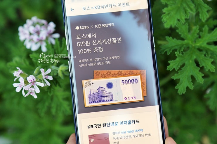 토스 5만원 상품권 득템하는 방법 이벤트 참여 쉬워요~