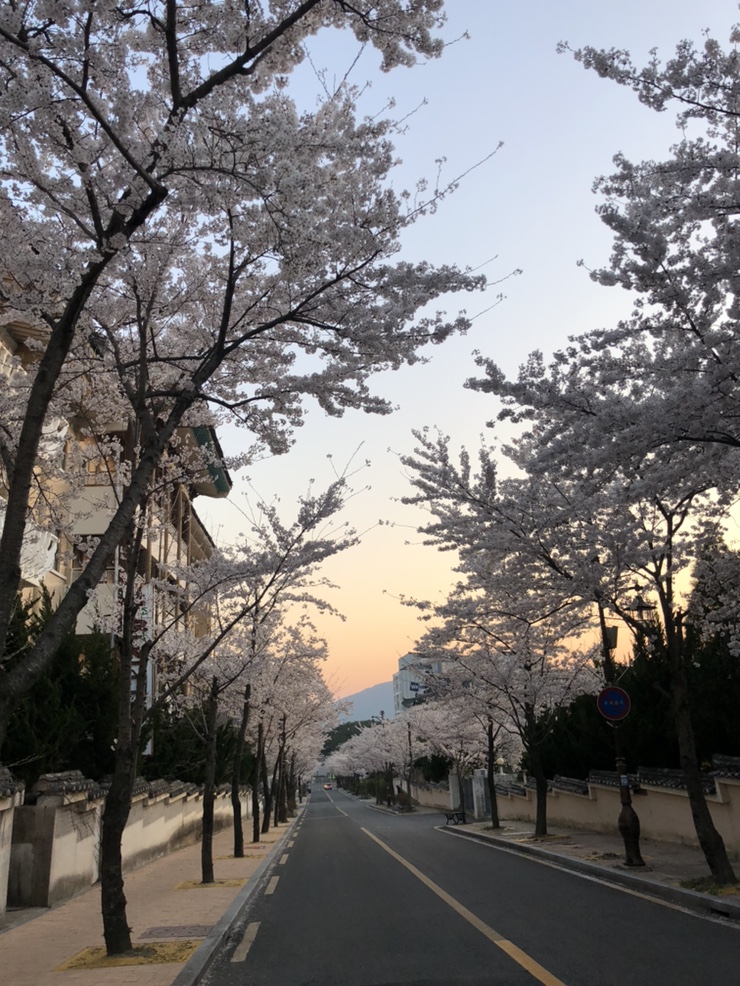  2019년 4월 일상 - 첫번째