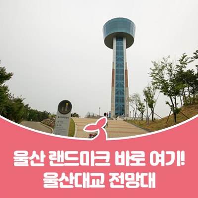  [울산명소] 울산 랜드마크 바로 여기! 울산대교 전망대