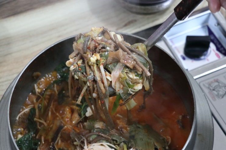  경북 영천 맛집 시원한 국물이 끝내주는 잡어매운탕