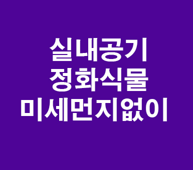 실내공기정화식물 미세먼지 없이 실내공기정화식물 미세먼지 없이