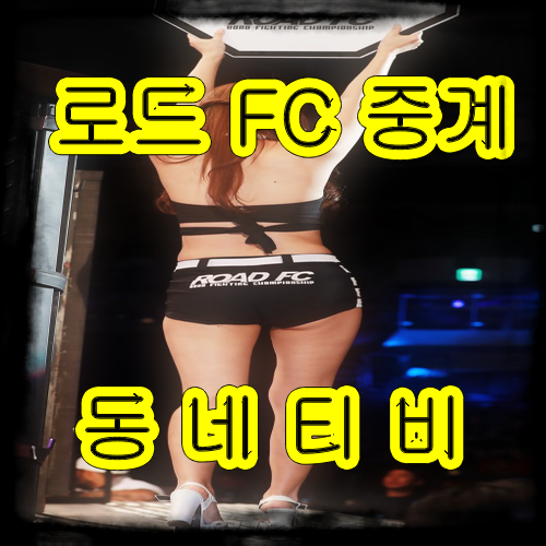  오버로드와 로드FC중계 연관성을 찾아라