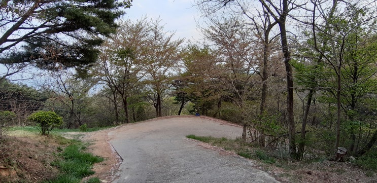  충남 홍성 명산 백월산 산행 여행 귀암바위 아름다운 벚꽃길등.