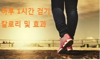  하루 1시간 걷기 칼로리 및 효과