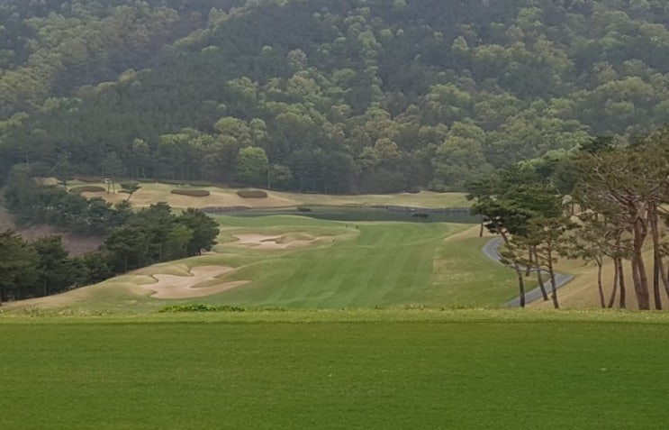  정산CC 라운딩후기