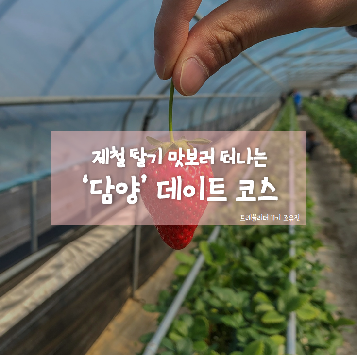  (3월)제철 딸기 맛보러 떠나는 ‘담양’ 데이트 코스