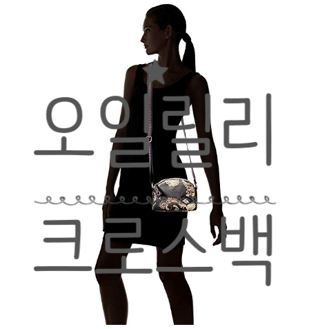 오일릴리 크로스백 신상 특템후기