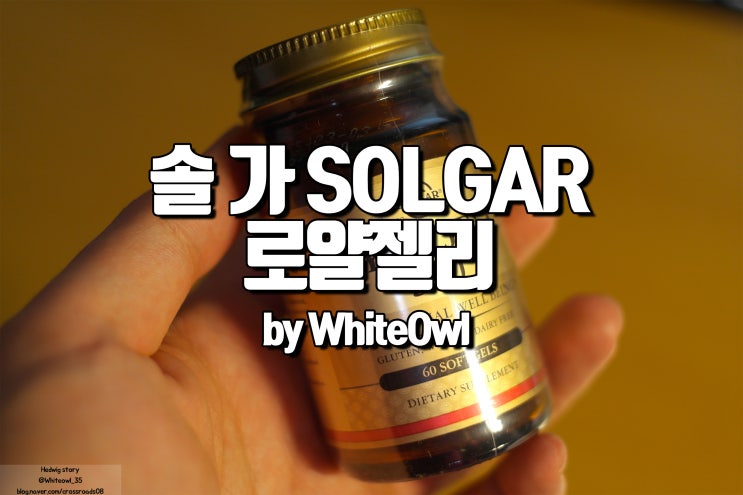  솔가 로얄젤리 하루 한알로 간편하게 구입 후기 노화방지, 항산화효과