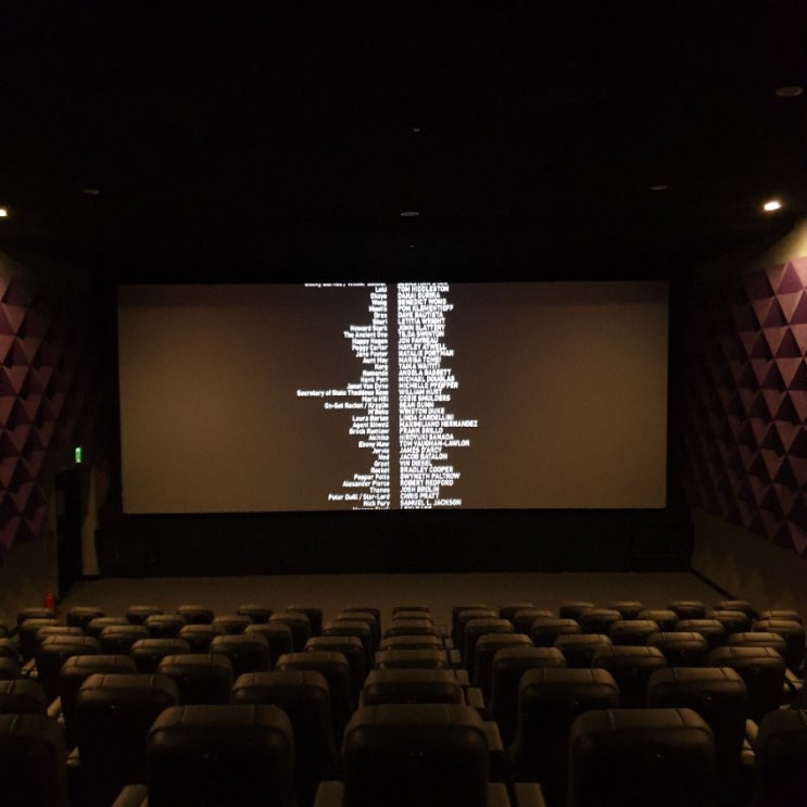  Avengers :endgame