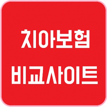  메리츠치아보험 추천 비교