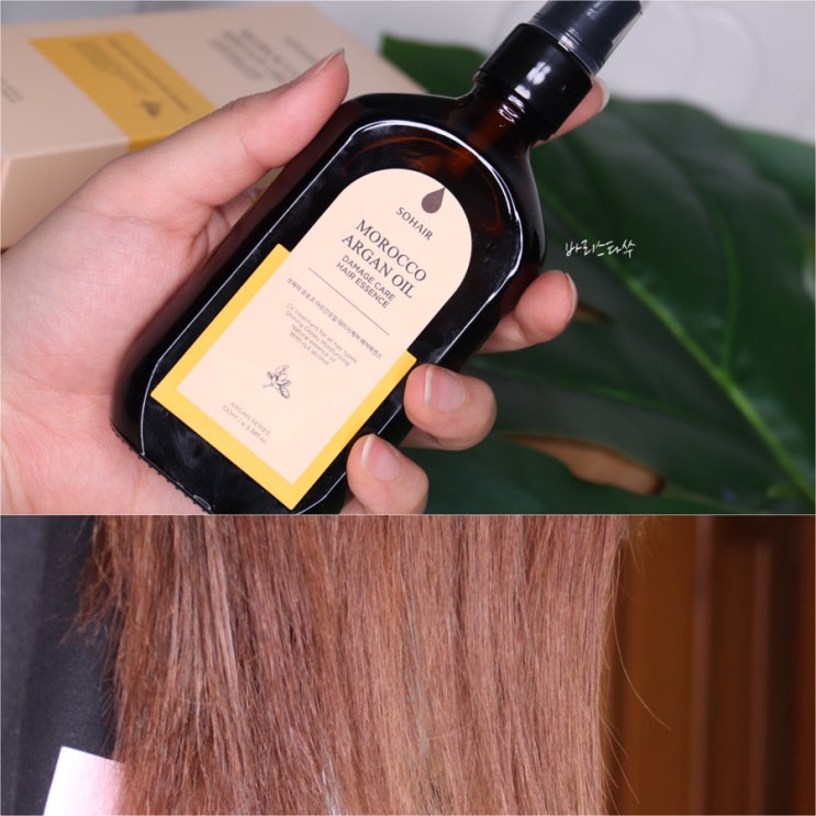  헤어에센스 추천, 쏘헤어 모로코 아르간오일 손상모 건강하게 관리하기