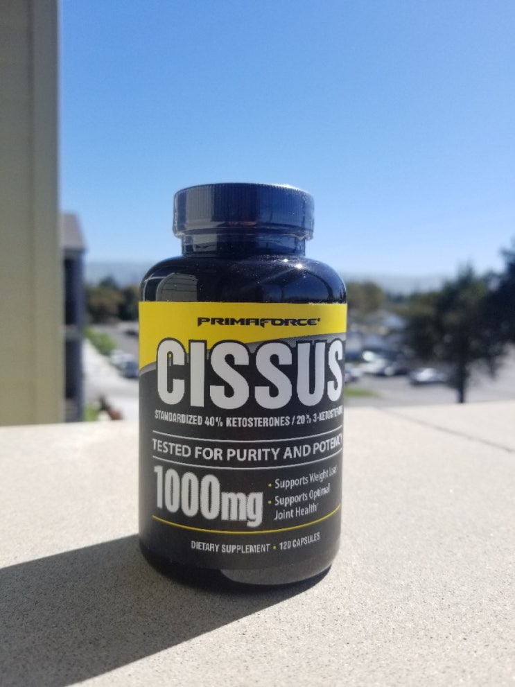  GNC 프라임 포스 시서스 분말 시서스가루 1000mg 캡슐 120정