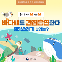  바다새도 간접흡연 할 수밖에 없는 해양쓰레기 1위는?