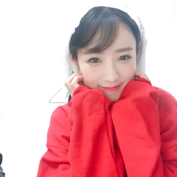  190426 Apink 공식 트윗(@Apink_2011)