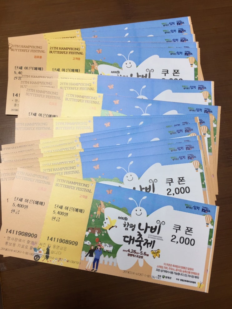  2019.04.26.(금) * 함평나비축제 시작!