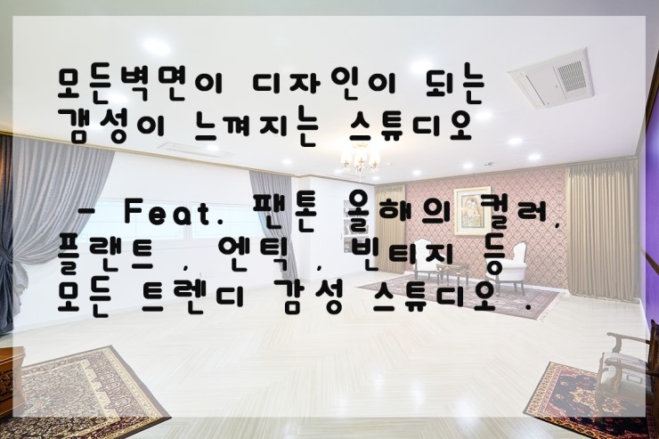  색감이 오지는 스튜디오 현장 ~ (Feat. 2019 팬톤의 올해의 컬러 , 2018 팬톤의 올해의컬러) 