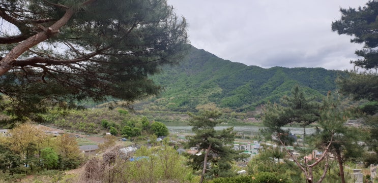  서울점집 산신도령 사업운잘보는곳 예봉산기도