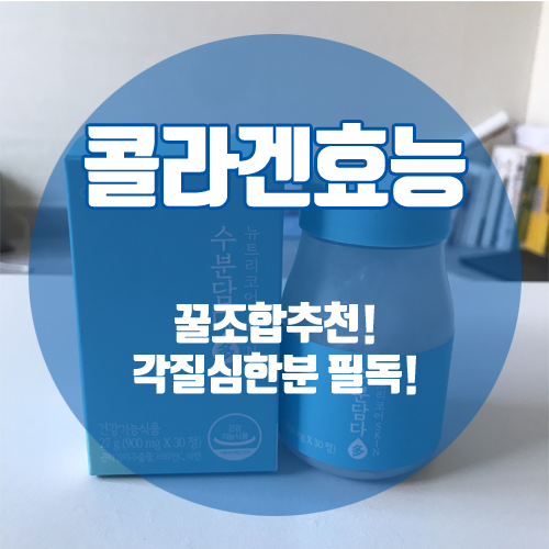  콜라겐효능 꿀조합 추천 각질심한분들 필독