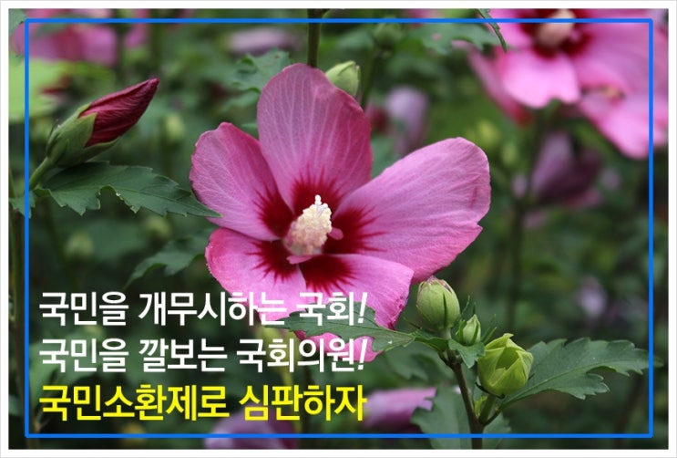  [난장판 국회] 국회의원 국민소환제 도입하라!
