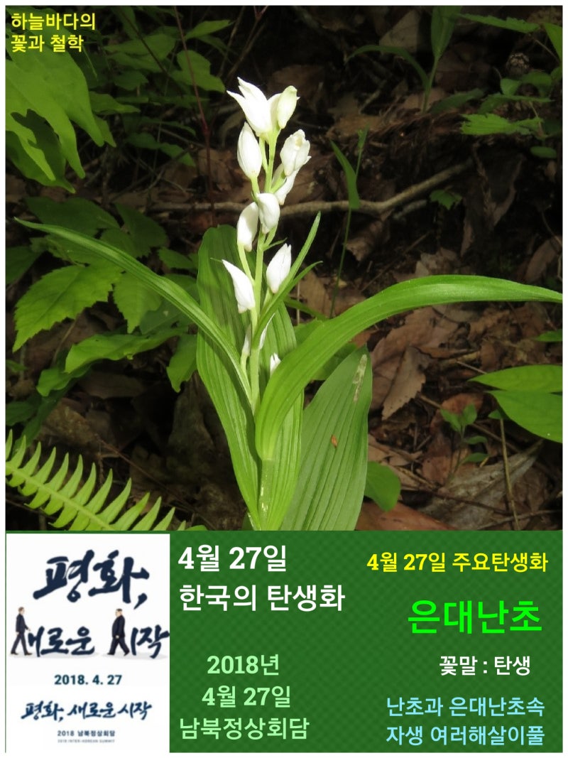 난초과] 식물의 한국의 탄생화 개요 : 네이버 블로그, image size:800x1067