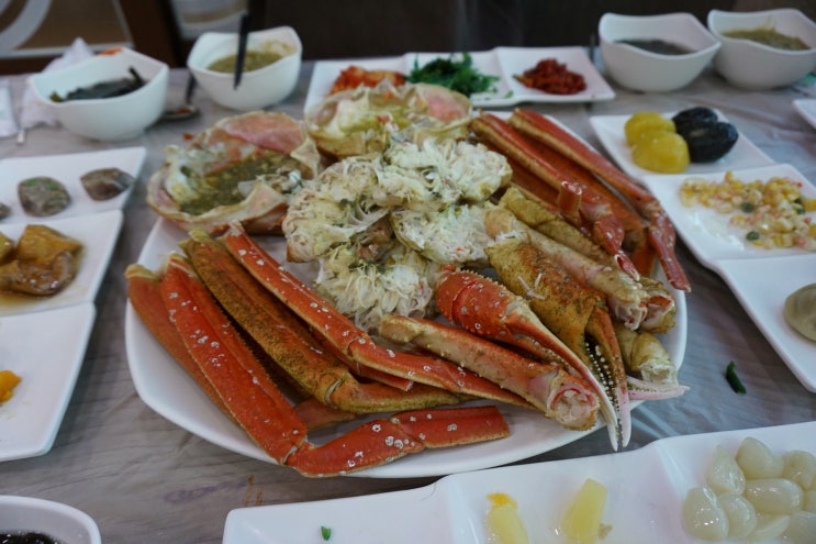  속초 맛집 추천 너도 알려줄께
