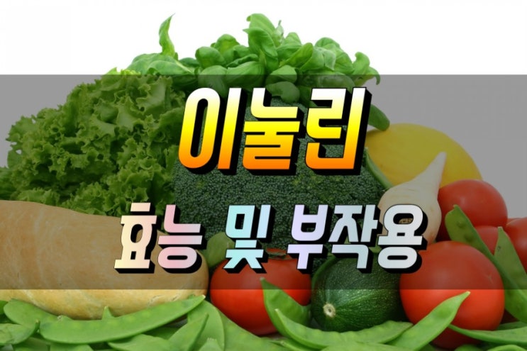  프리바이오틱스 이눌린 효능 및 부작용 제대로 알고 먹기