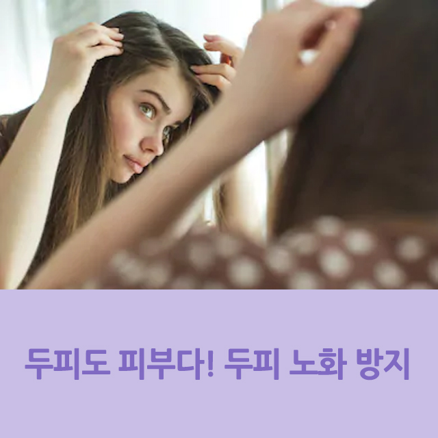  두피도 피부다! 두피 노화 방지하려면?