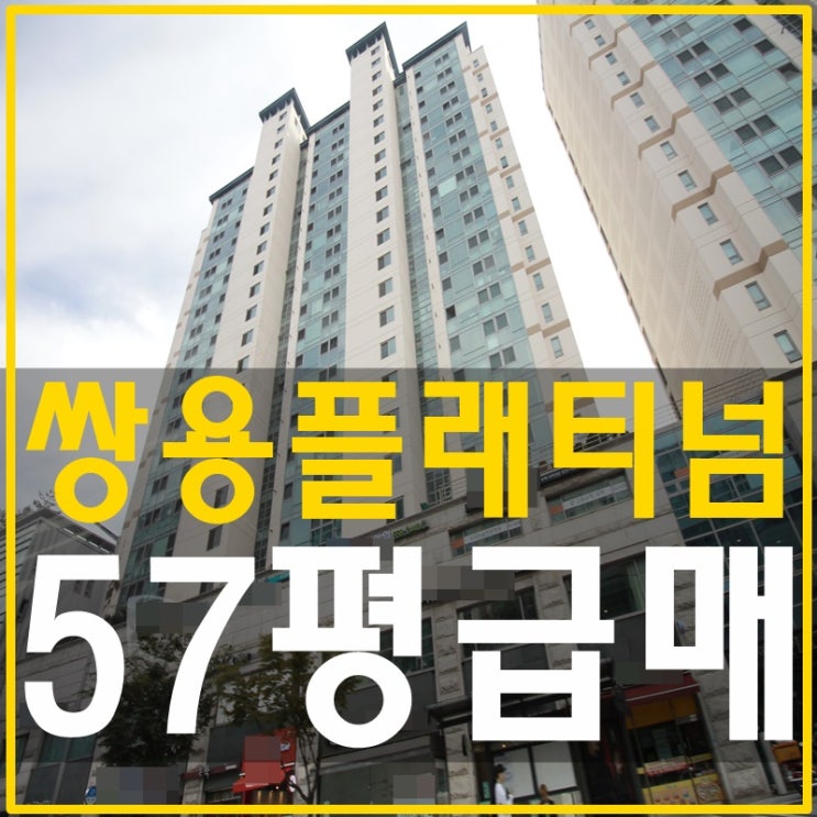  삼성동쌍용플래티넘 매매 홍진영의 초이스