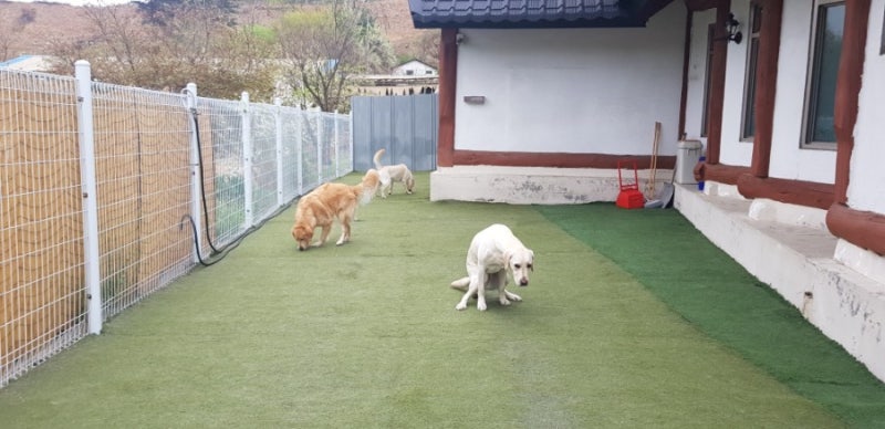 사진 2