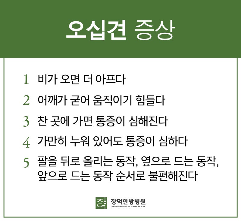 수원 오십견이 잘 움직이지 않는다는 특징!