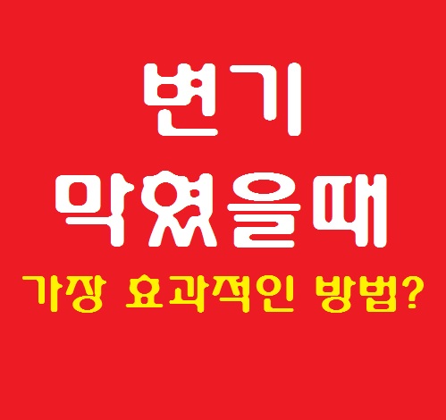 변기 막혔을때 샴푸 패트병 옷걸이 비닐 락스 중 가장 효과적인 방법은?