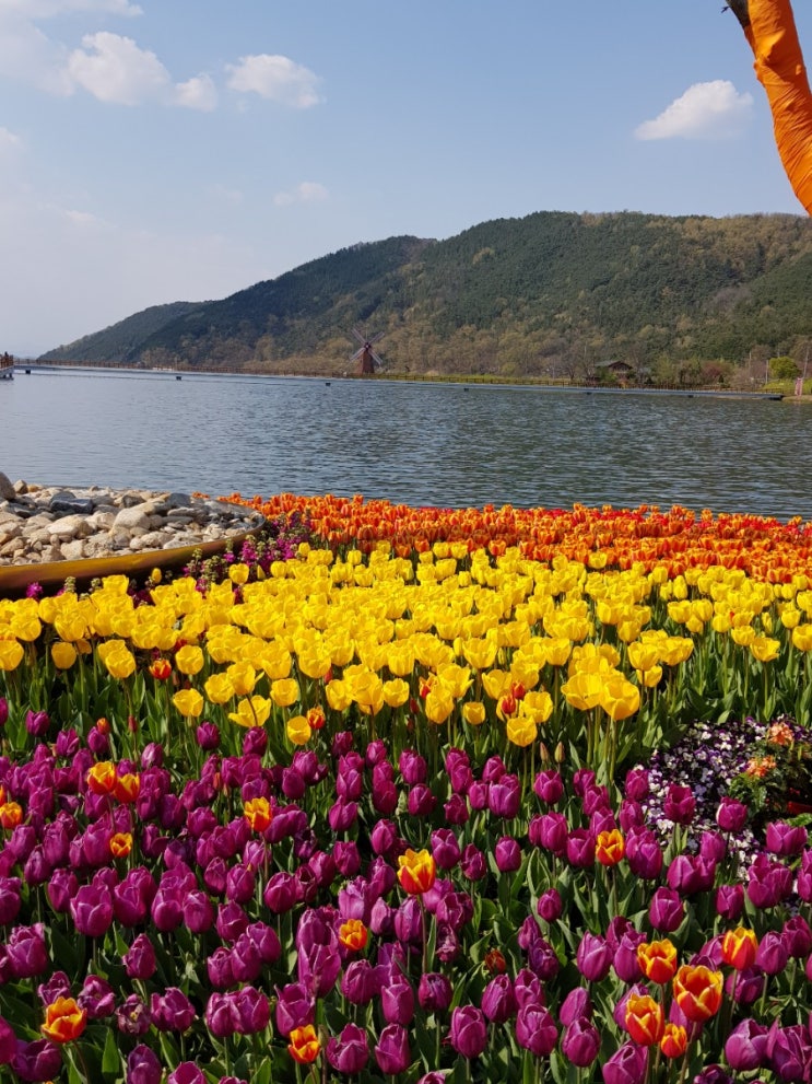  대구 송해공원 나들이 / 커피가 맛있는 올렌스카페