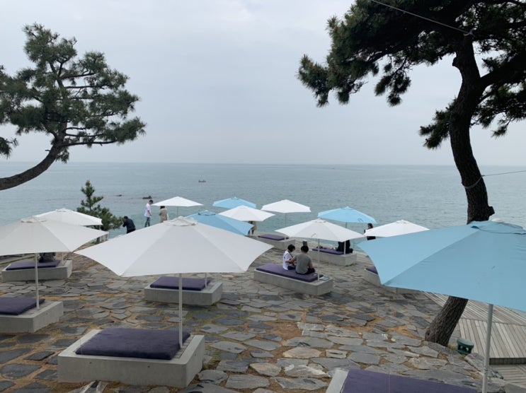 2019. 4. 3rd - 부산 기장 데이트 (2) - 부산 마라도, 기장 웨이브온, 언양 시래담