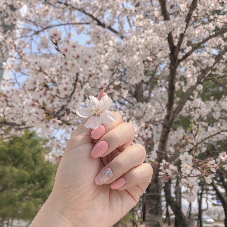  [데싱프렌즈] 봄에 찰떡! 추천네일