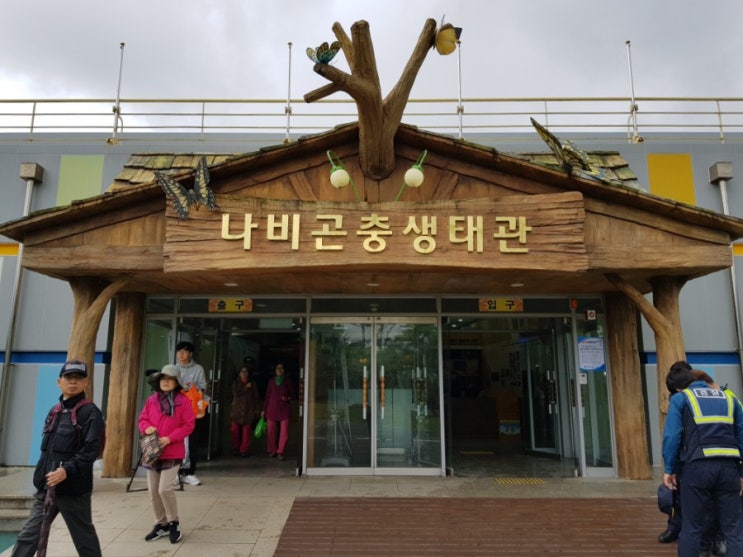  함평 나비 대축제