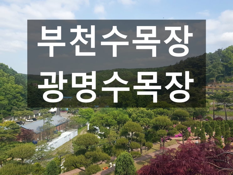  부천수목장&광명수목장 가까운 곳은 어디예요?