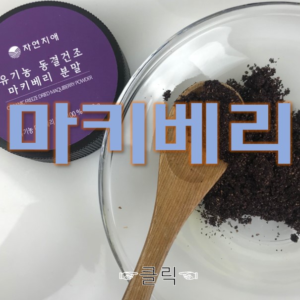  마키베리 분말로 집사님들 건강 지키기 (Feat.효능)