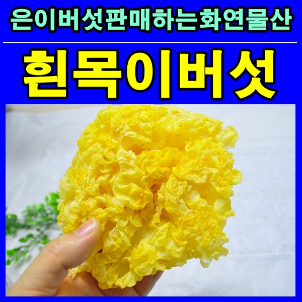  흰목이버섯 버섯판매하는곳 화연물산 은이버섯
