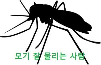  모기 잘물리는 사람 (체질) 누굴까