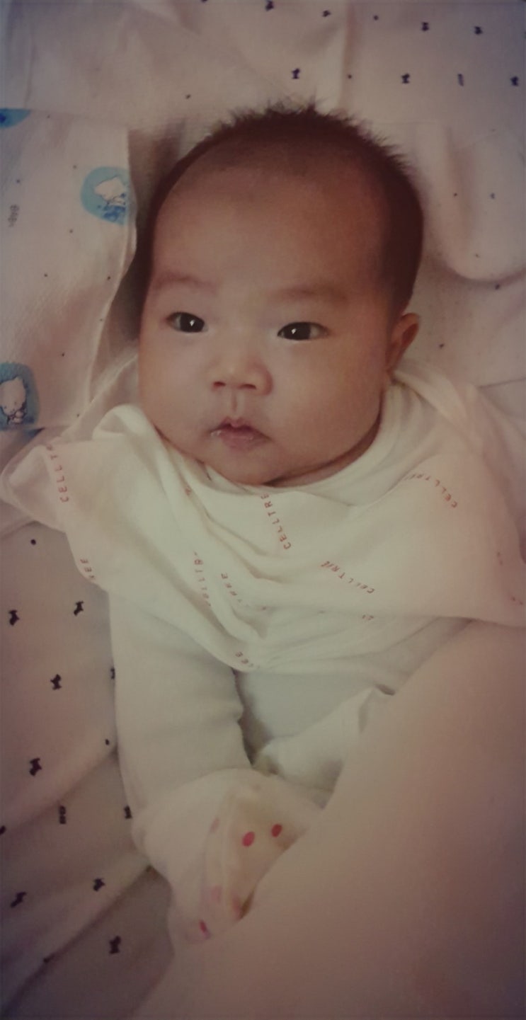  천사 하랑이